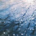 ファーストキス