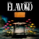Elavoko