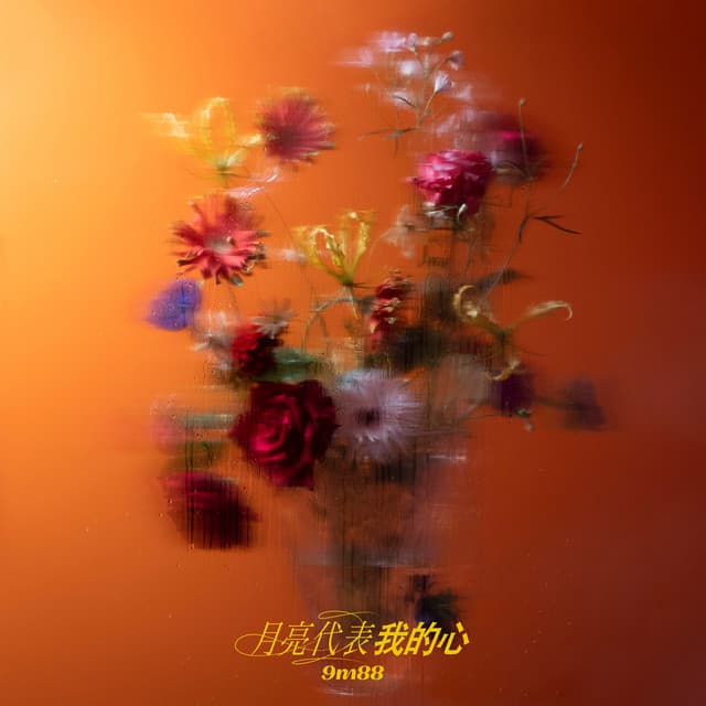 月亮代表我的心（《華燈初上》插曲）