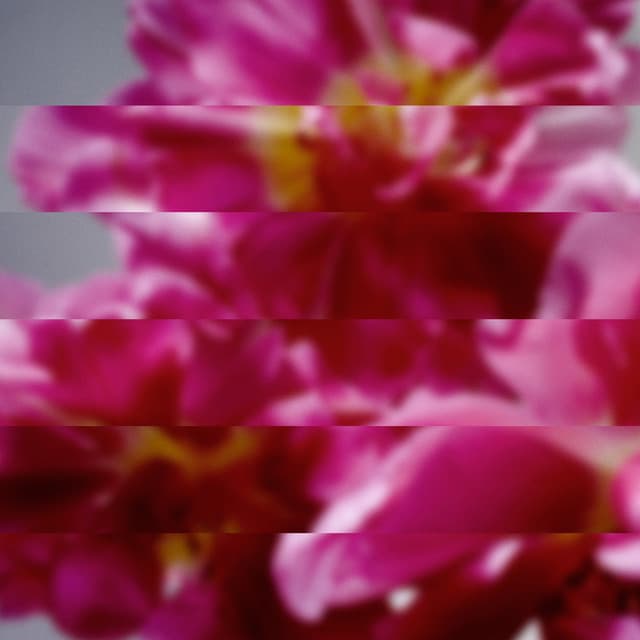 ﾗﾋﾞﾘﾝｽ - Album Mix-Vocal:満島ひかり