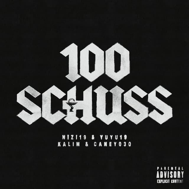100 Schuss