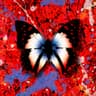 2step (feat. Ellinoora)