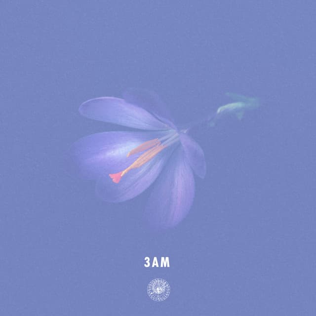 3AM