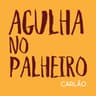 Agulha No Palheiro