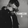 AMNEZIA 2
