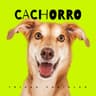 Cachorro