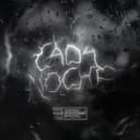 Cada Noche