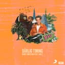 Dårlig Timing (feat. Bar Z)