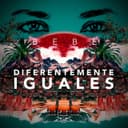 Diferentemente iguales