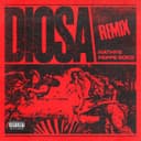 DIOSA - Remix