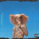 Guatemala (feat. Slim Jxmmi) - From Swaecation