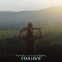 How Do I Say Goodbye