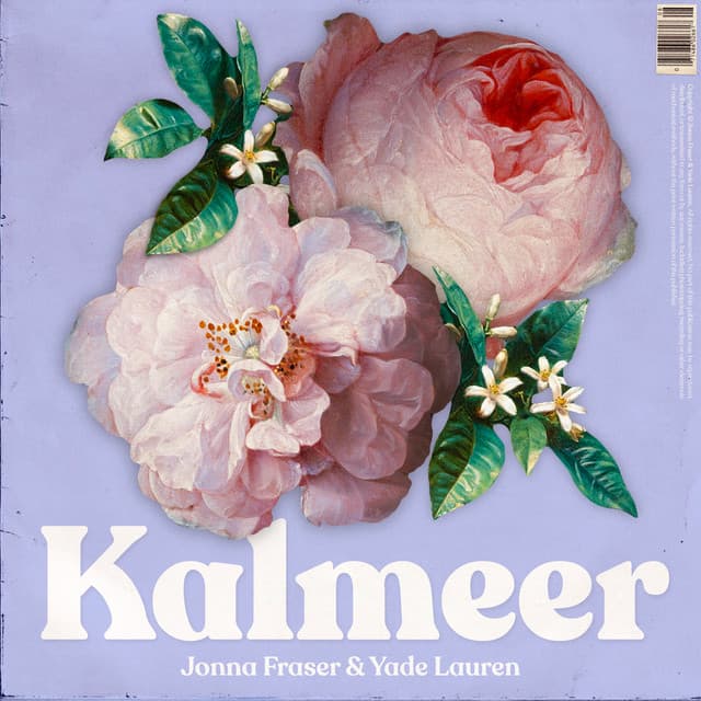 Kalmeer
