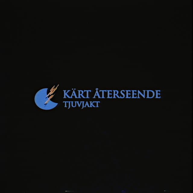 Kärt återseende