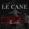 LE CANE - RMX