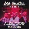 Me Gusta - Remix