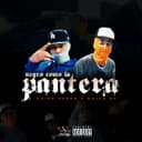 Negro Como La Pantera