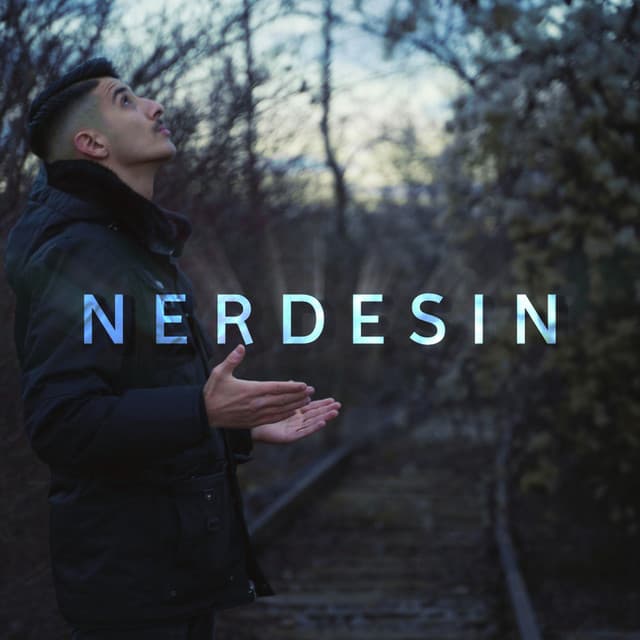 Nerdesin
