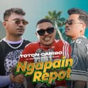Ngapain Repot