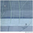 У мене немає дому