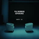 Pilu Membiru (Live Experience)