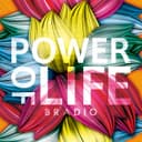 真っ赤なカーチェイス