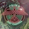Primo
