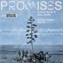 Promises - Sonny Fodera Remix