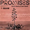 Promises (with Sam Smith)