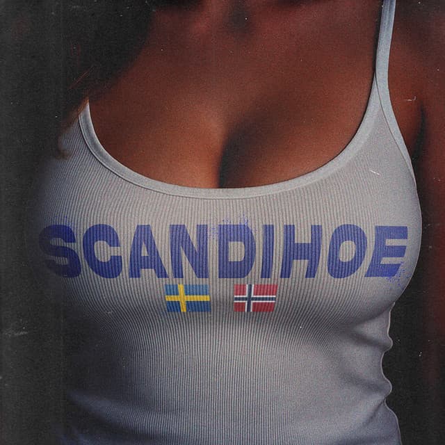 SCANDIHOE (feat. Krobbe)
