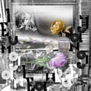 ลืมกันแล้วหรือยัง