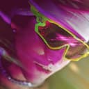 Zonda (feat. Neves17 & Rhove)