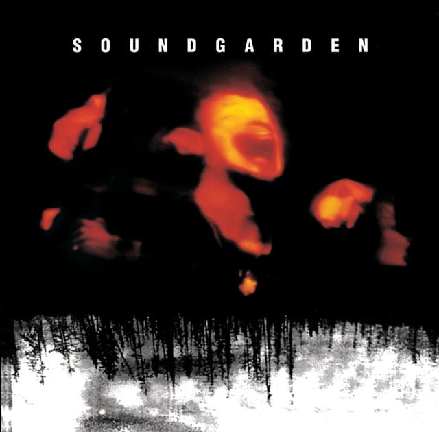 Black Hole Sun