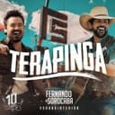 Terapinga - Ao Vivo