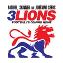 Three Lions (Football's Coming Home)
