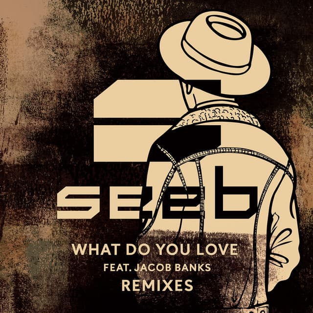 What Do You Love - Broiler Remix