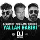Yallah Habibi - DJ Antoine & Mad Mark 2k18 German Mix