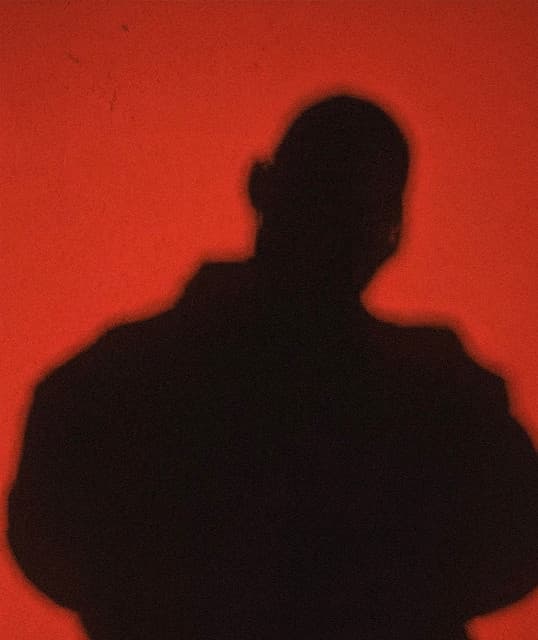 The Last Artful, Dodgr