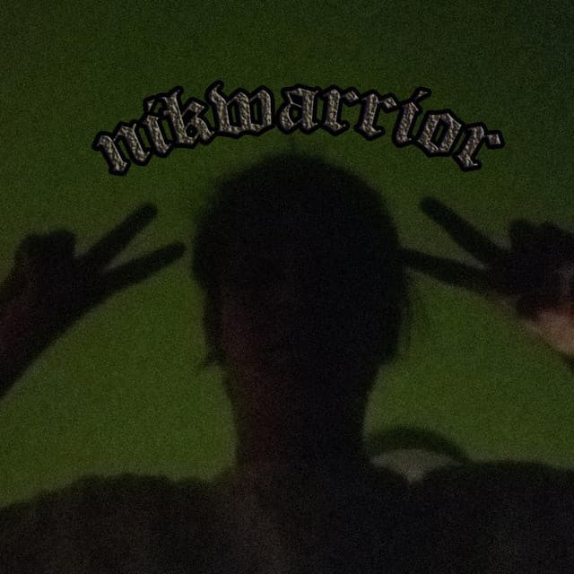 NikWarrior