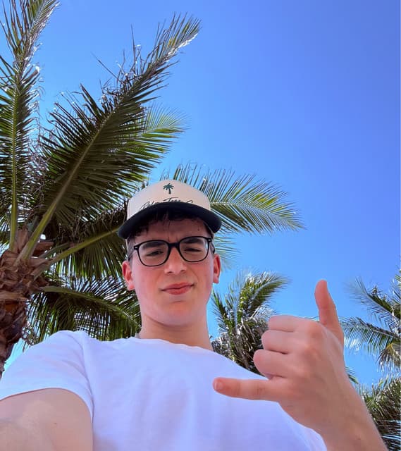 Palm Monkey