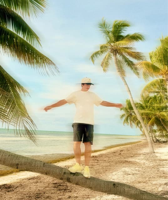 The Palm Tree Boy
