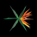 Ko Ko Bop - Chinese Version