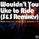 Wouldn't You Like to Ride (S&S Remixes) - Nick Ahrn Remix