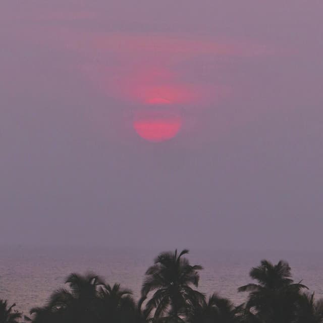 MORENA TROPICANA - MTG