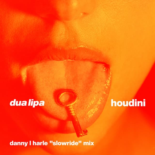 Houdini - Danny L Harle Slowride Mix