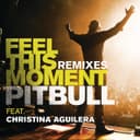 Feel This Moment (feat. Christina Aguilera) - Jump Smokers Club Mix