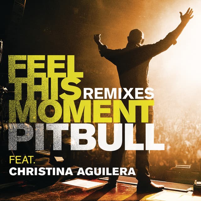 Feel This Moment (feat. Christina Aguilera) - Jump Smokers Radio Mix