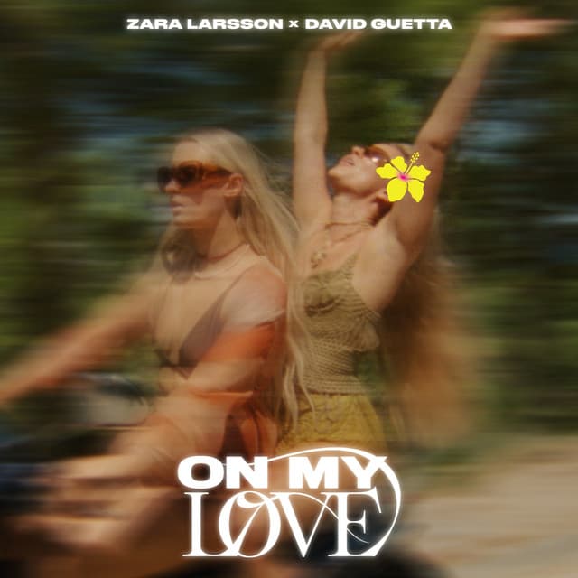 On My Love (feat. David Guetta) - Niklas Dee Remix