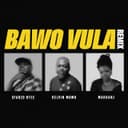 Bawo Vula - Remix