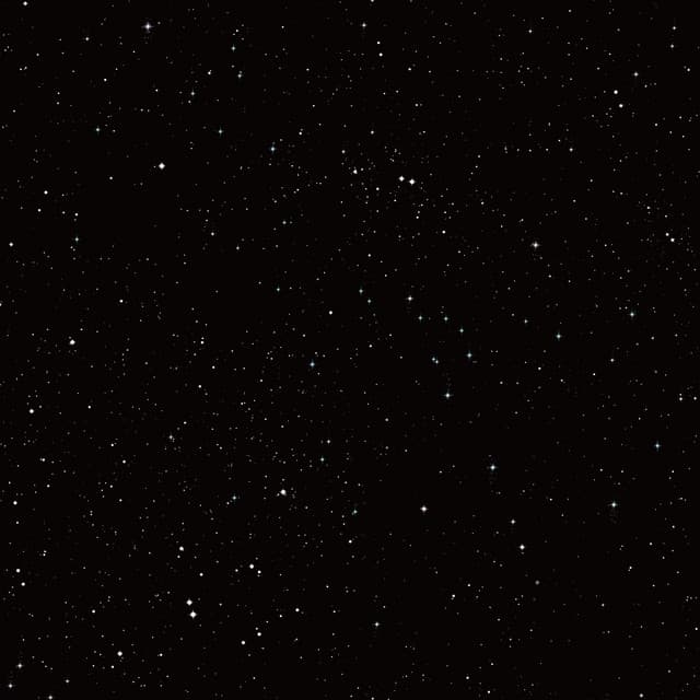 Can't Wait 'Til Christmas